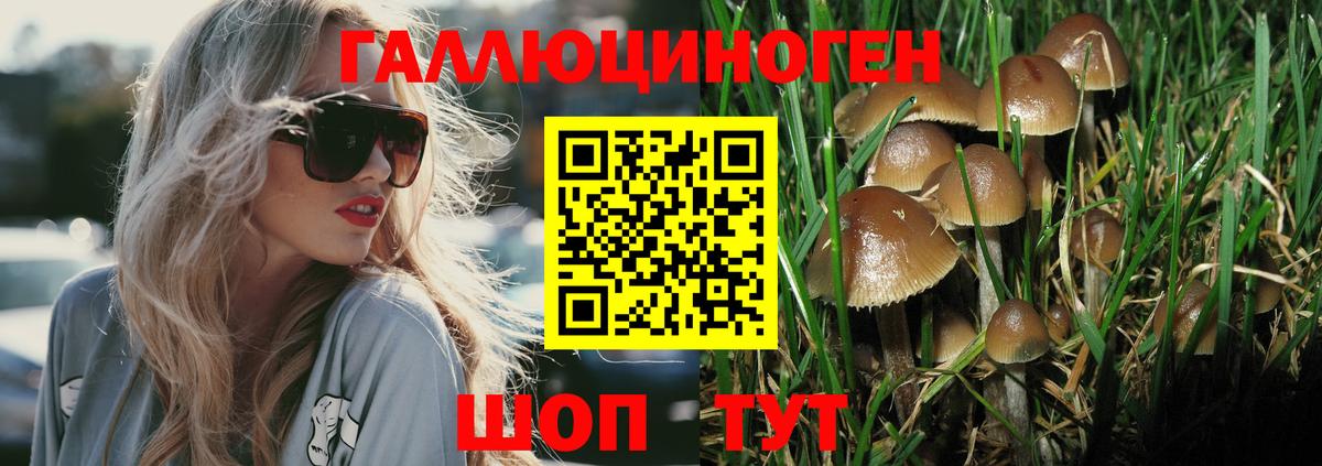 Донской  Галлюциногенные грибы прущие грибы  Псилоцибиновые грибы Psilocybe  Вход с VPN 